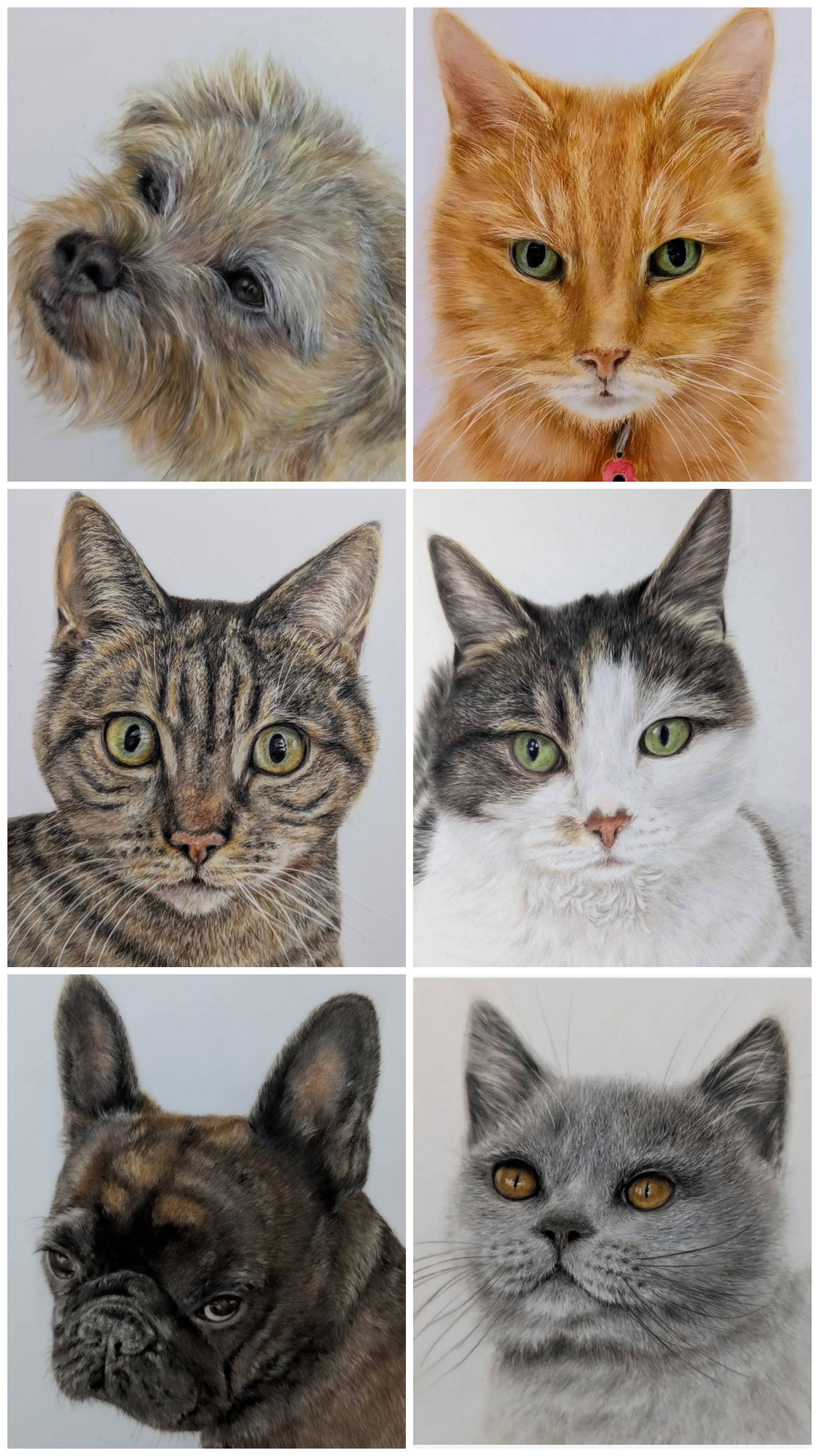 Cat collage by Sarah Reid