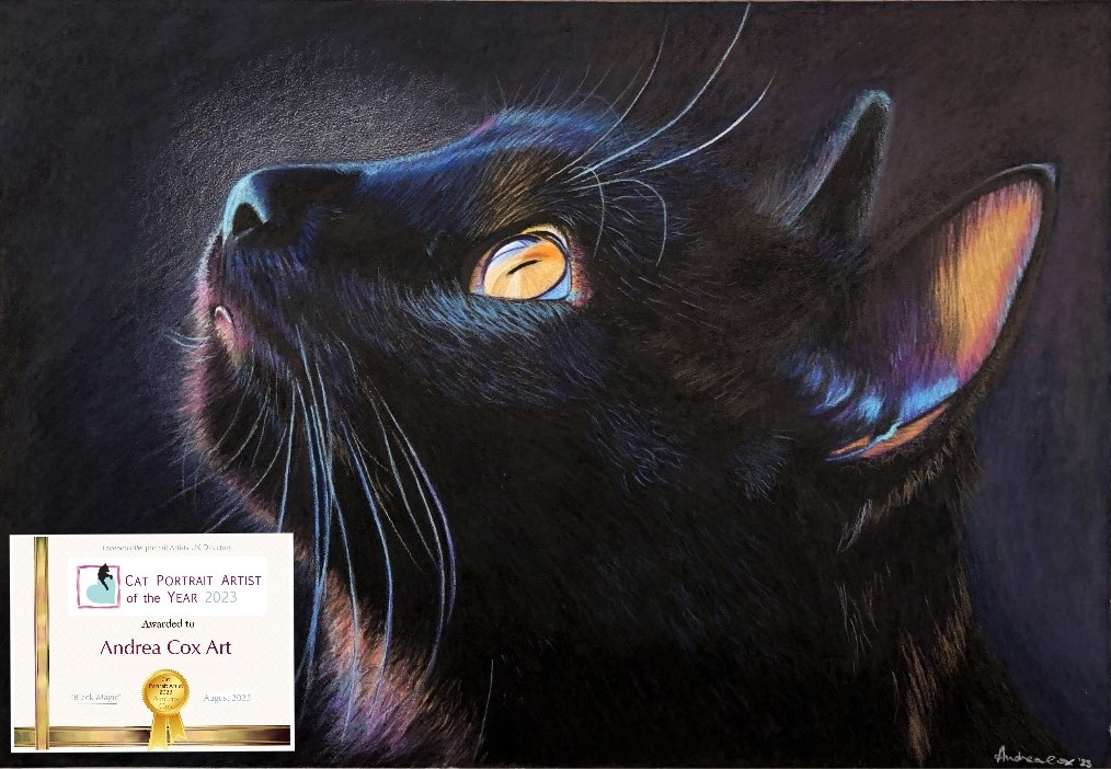 Award winning cat portrait by Andrea Cox