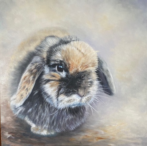 Rabbit portrait by Linda Edward