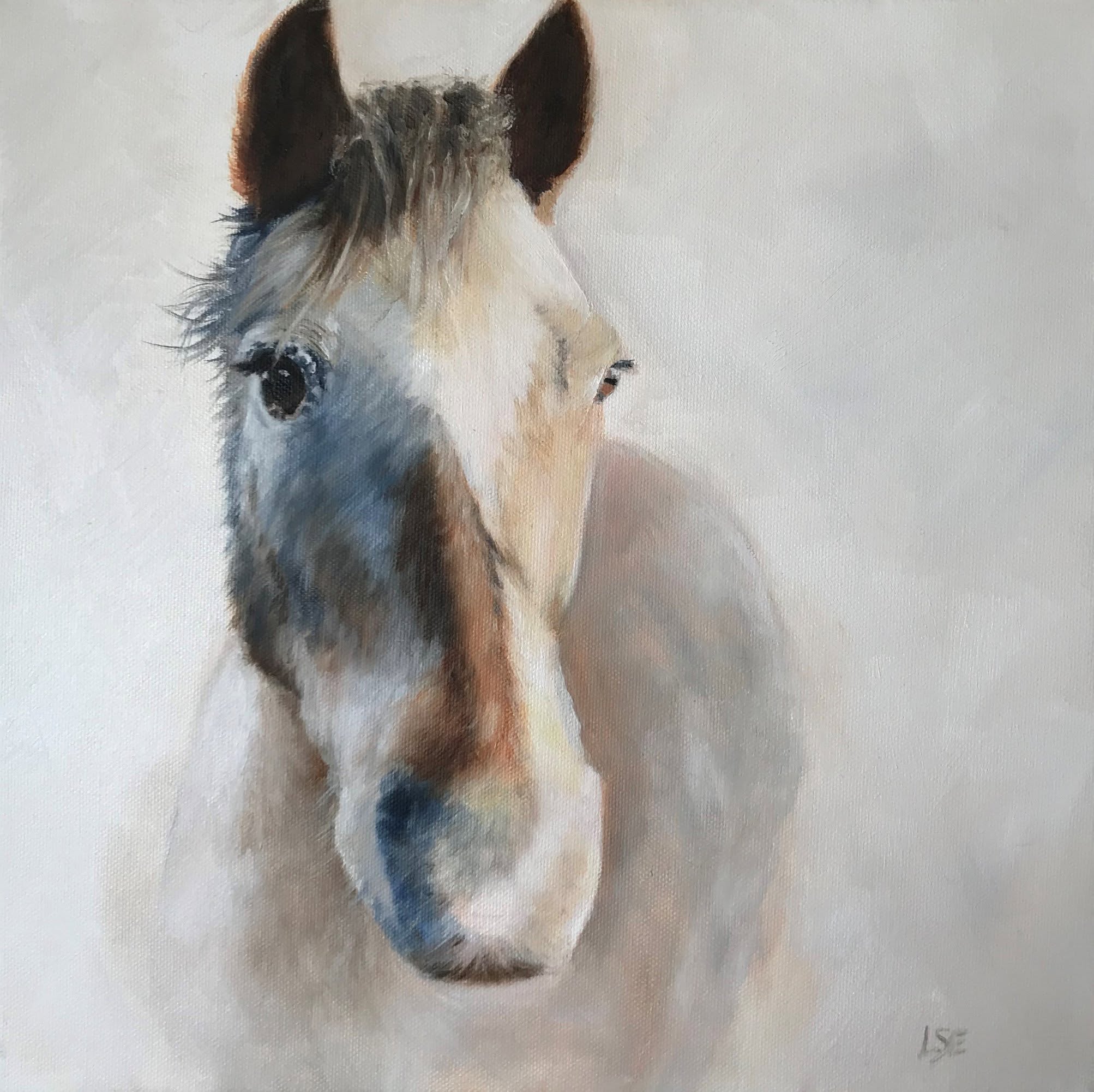 Pony portrait by Linda Edward