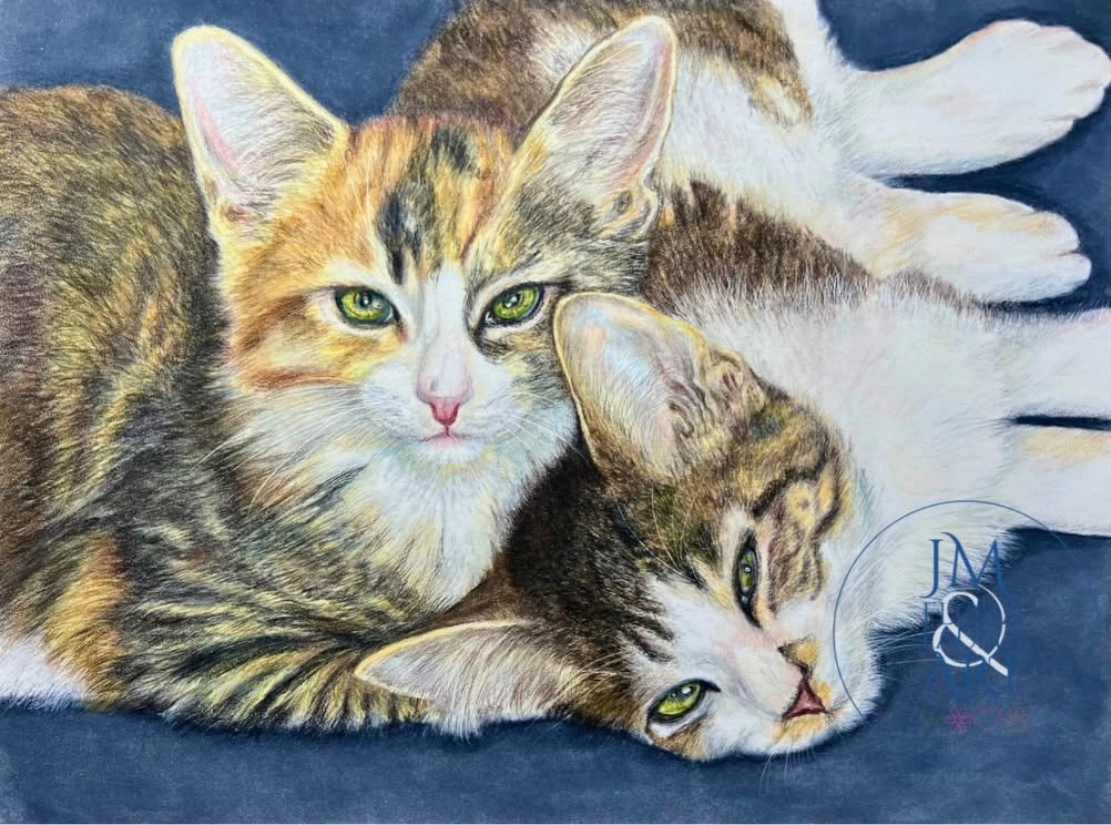 cats in a portrait by Joanne Molloy