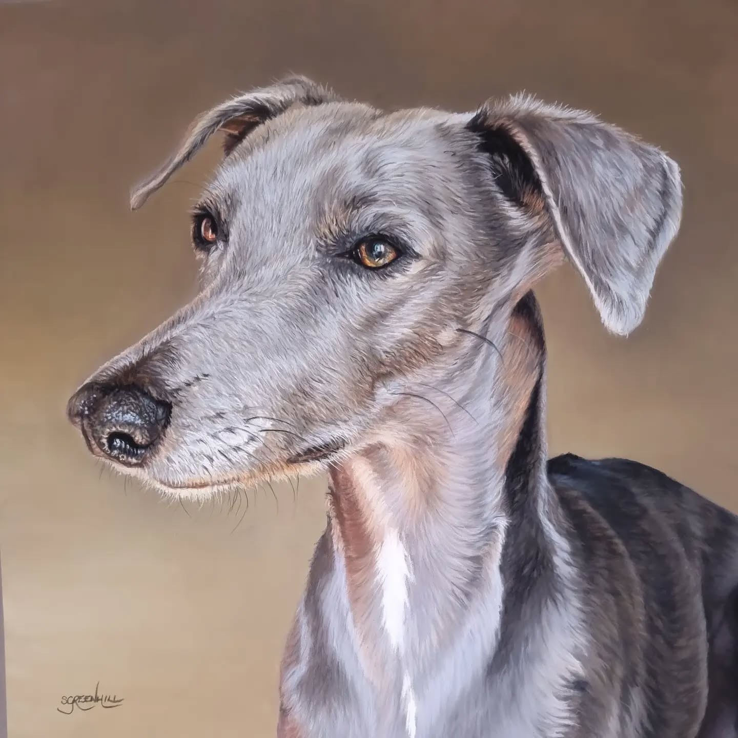 Dog portrait by Samantha Greenhill
