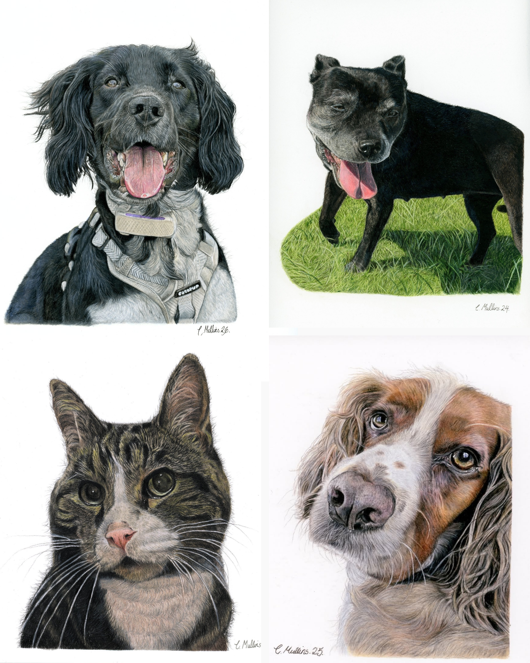 Collage of pet artwork by Charlotte Mullins