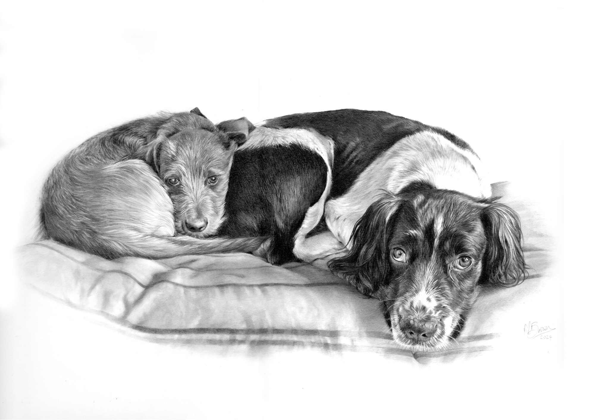 Pet portrait by Marie Brown