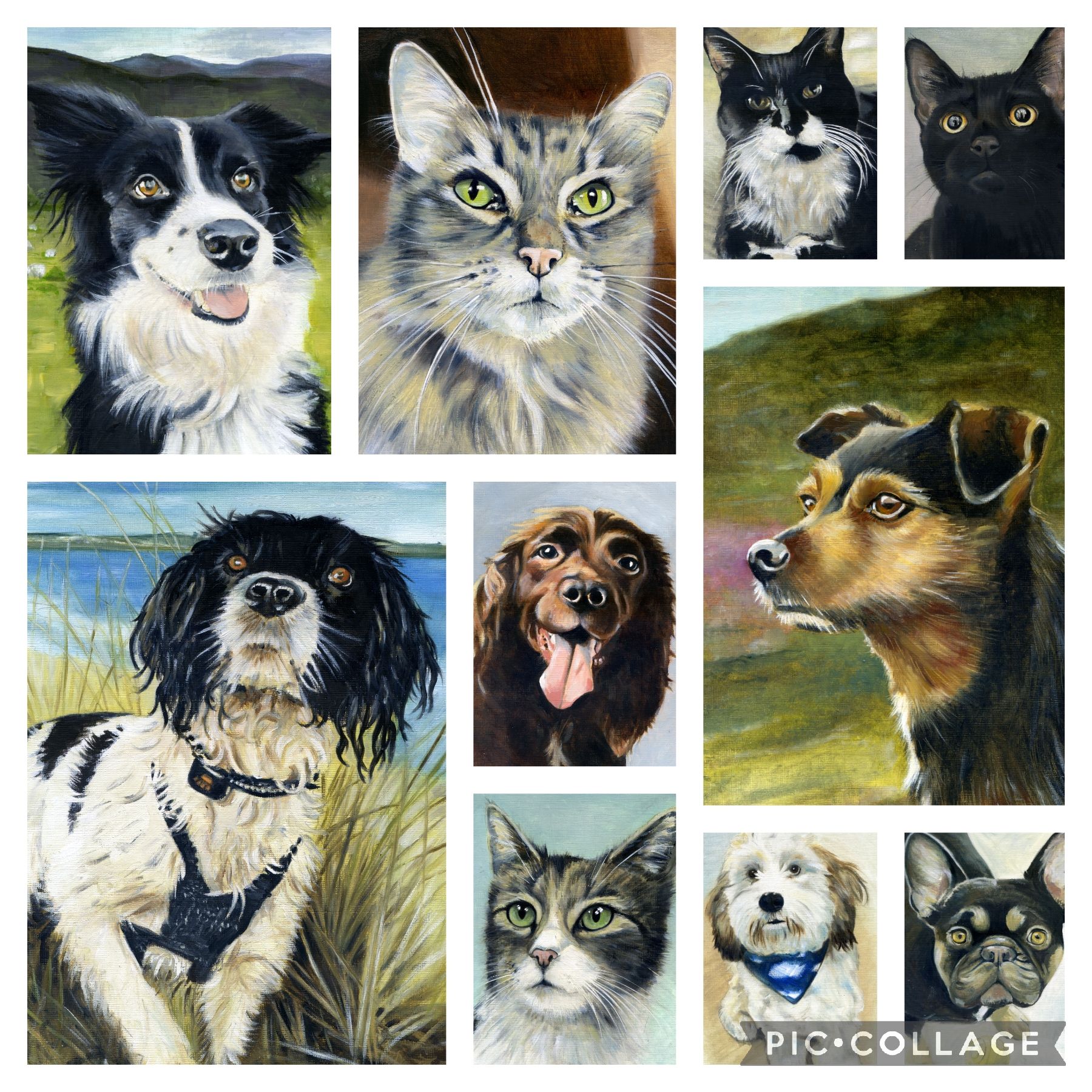 pet collage