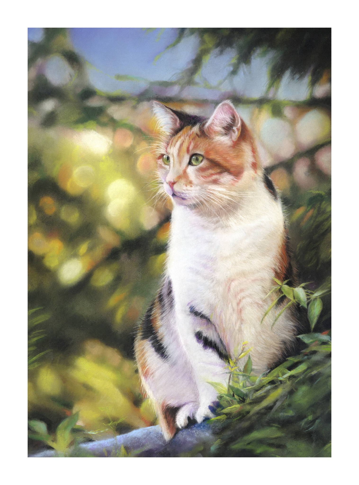 cat