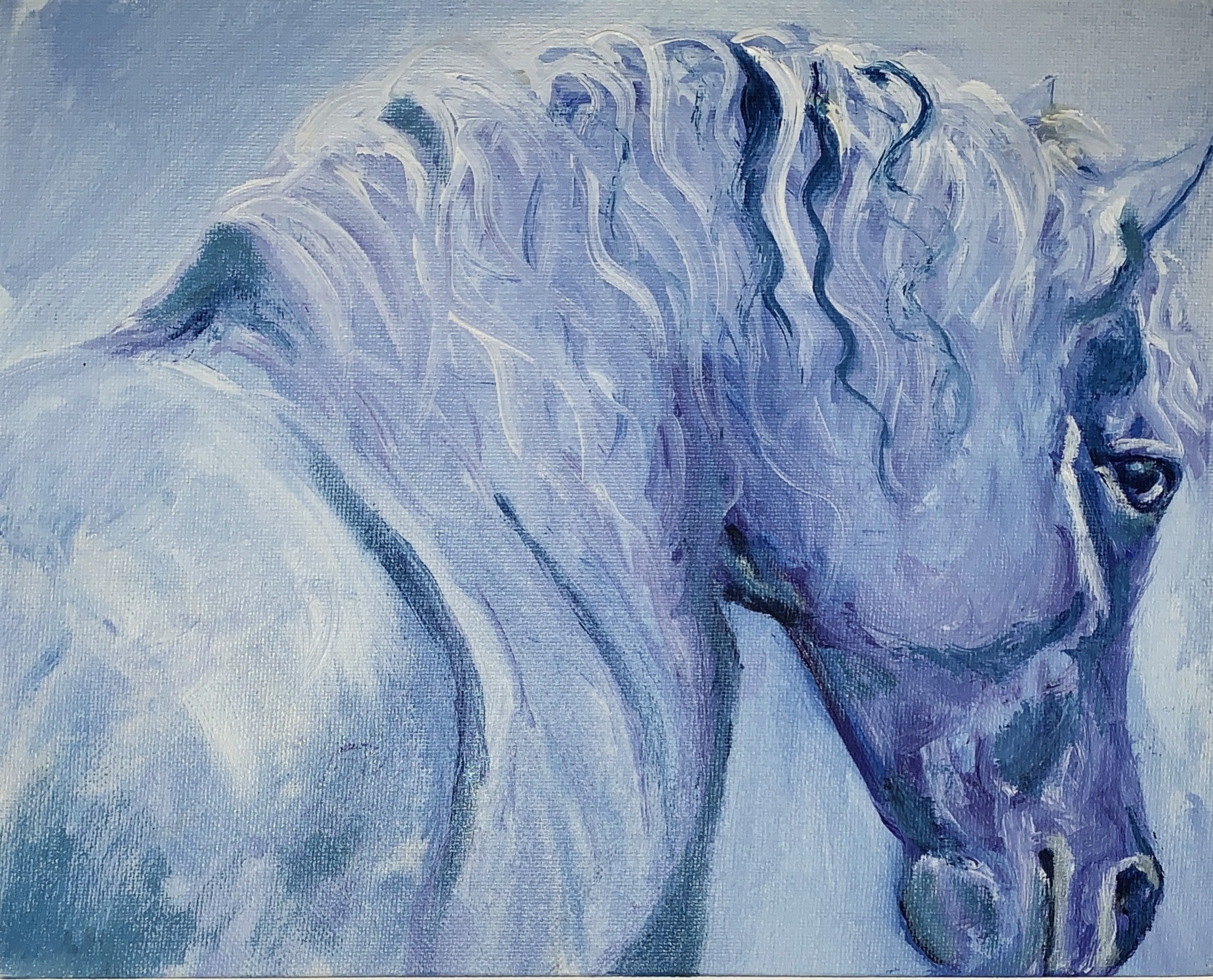 Blue horse