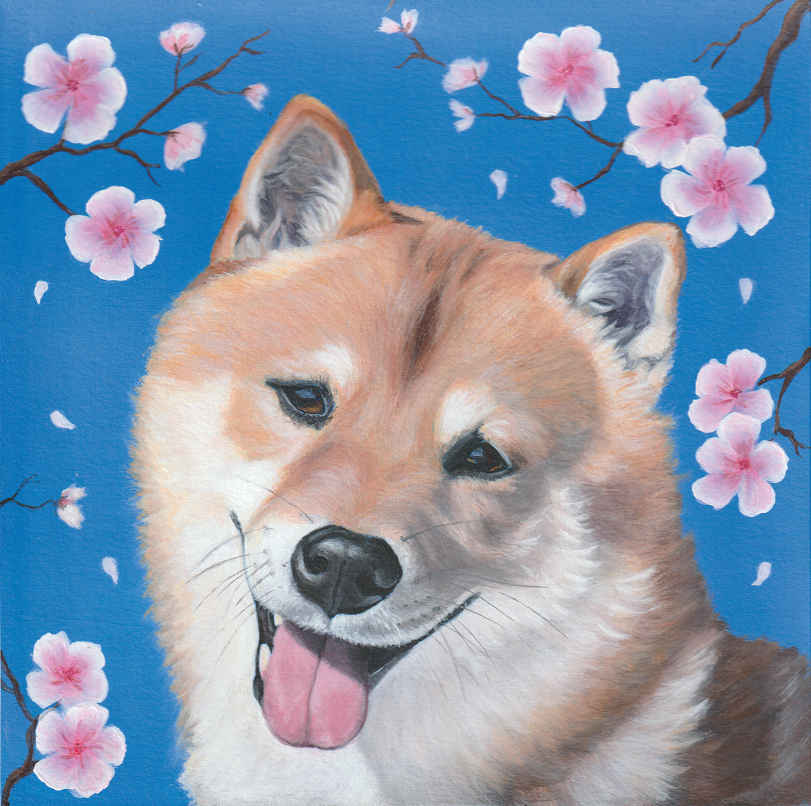 Akita Dog with bue and pink background