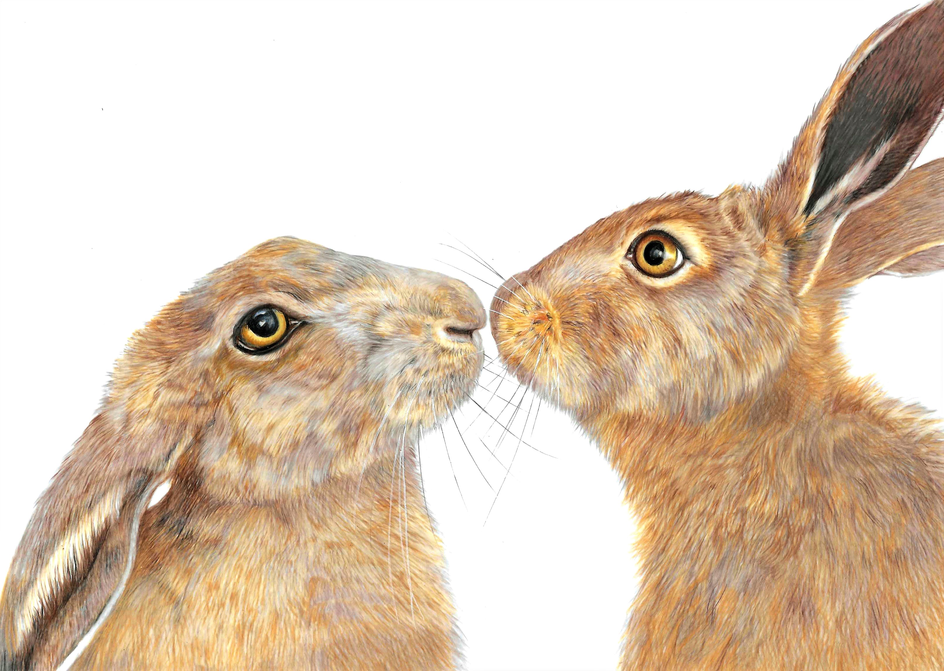 hares kiss