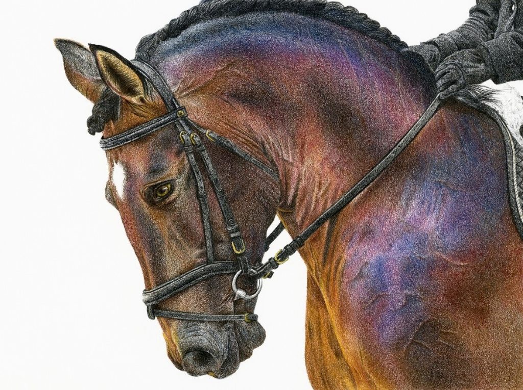 chestnut horse portrait